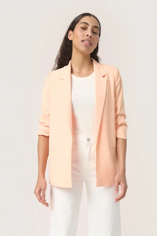 Shirley Blazer Adventure